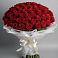 Букет 101 Красная роза Блэк Мэджик в Васильково
