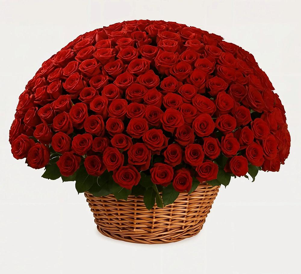 Премиум букет из: Розы в Васильково