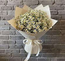 Букет цветов из:  Ромашки в Васильково