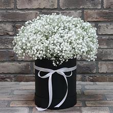 Цветочная композиция из Гипсофила в шляпной коробке в Васильково