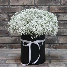 Цветочная композиция из Гипсофила в шляпной коробке в Васильково