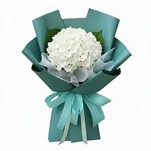 Букет цветов из:  Гортензия в Васильково